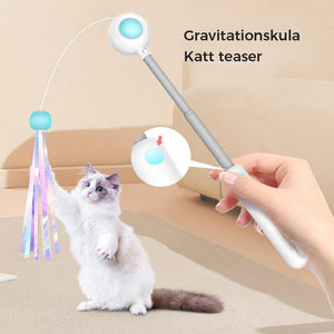 Infällbar kattteaser för husdjur