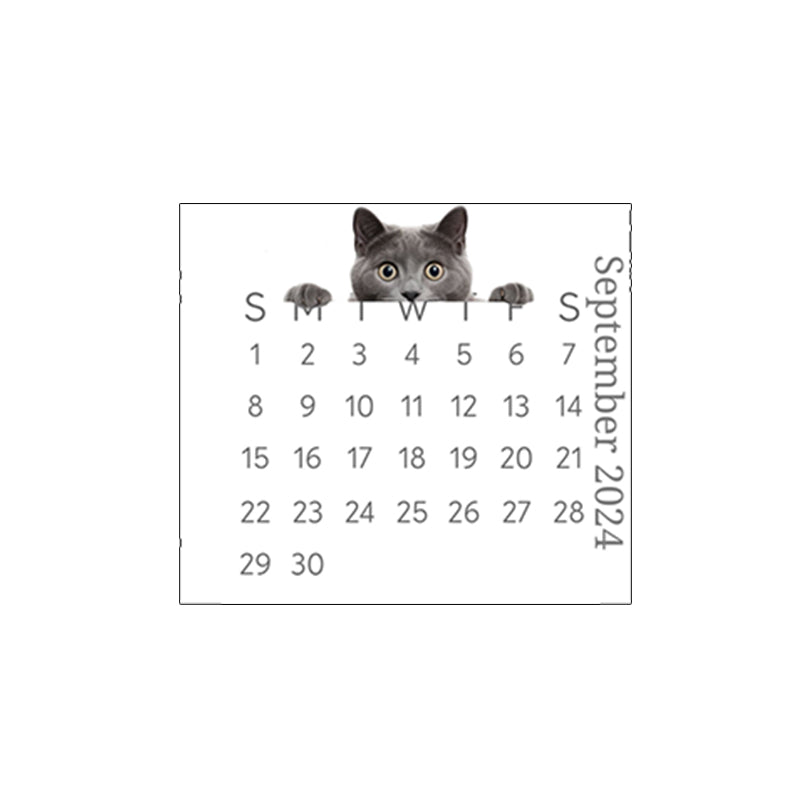 🐱2024 kikar kattskrivbordskalender