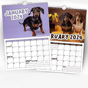 Cheeky Dachshunds - 2024 Väggkalender