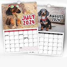 Ladda upp bild till gallerivisning, Cheeky Dachshunds - 2024 Väggkalender
