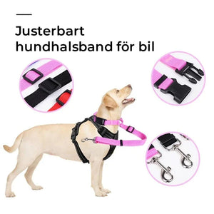 Justerbart hundkoppel för bil