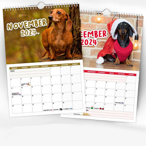 Cheeky Dachshunds - 2024 Väggkalender