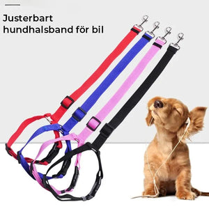 Justerbart hundkoppel för bil