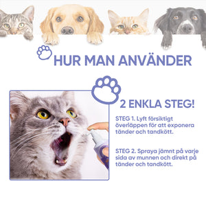 Tandrengöringsspray för hundar och katter