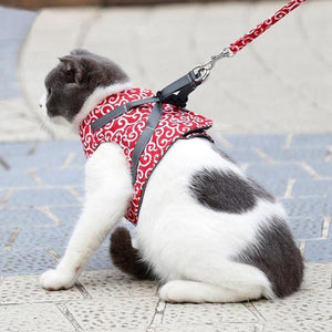 Kattväst med sele och koppel för utomhuspromenader