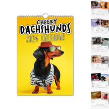 Ladda upp bild till gallerivisning, Cheeky Dachshunds - 2024 Väggkalender
