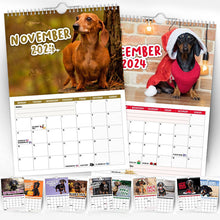 Ladda upp bild till gallerivisning, Cheeky Dachshunds - 2024 Väggkalender
