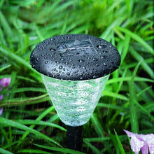 Ladda upp bild till gallerivisning, Waterproof Solar Lawn Lamps (2 PCS)
