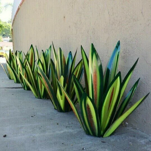 Vattentät Garden Agave dekoration