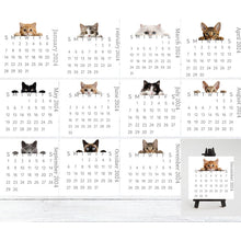 Ladda upp bild till gallerivisning, 🐱2024 kikar kattskrivbordskalender
