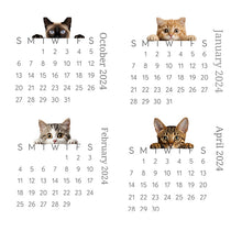 Ladda upp bild till gallerivisning, 🐱2024 kikar kattskrivbordskalender
